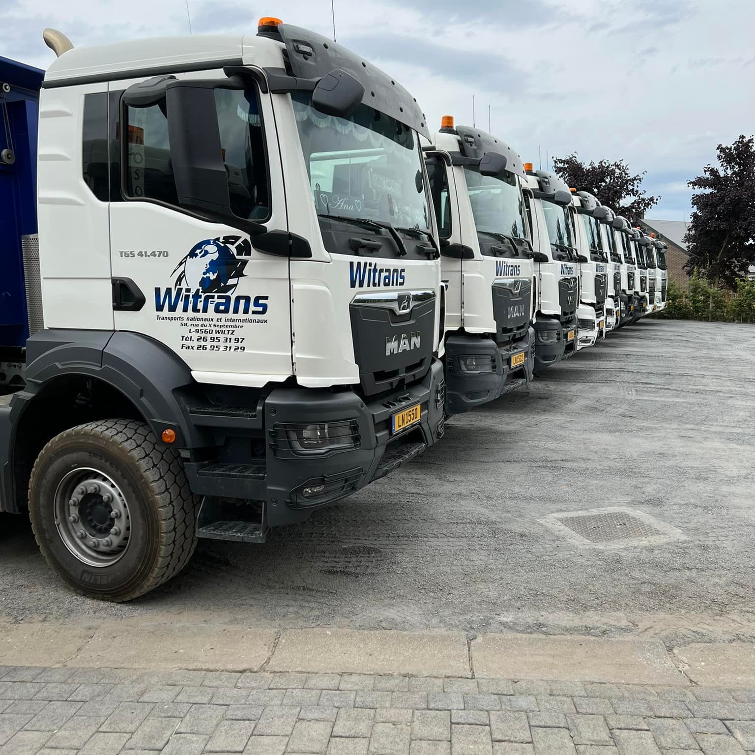 Witrans LKW's